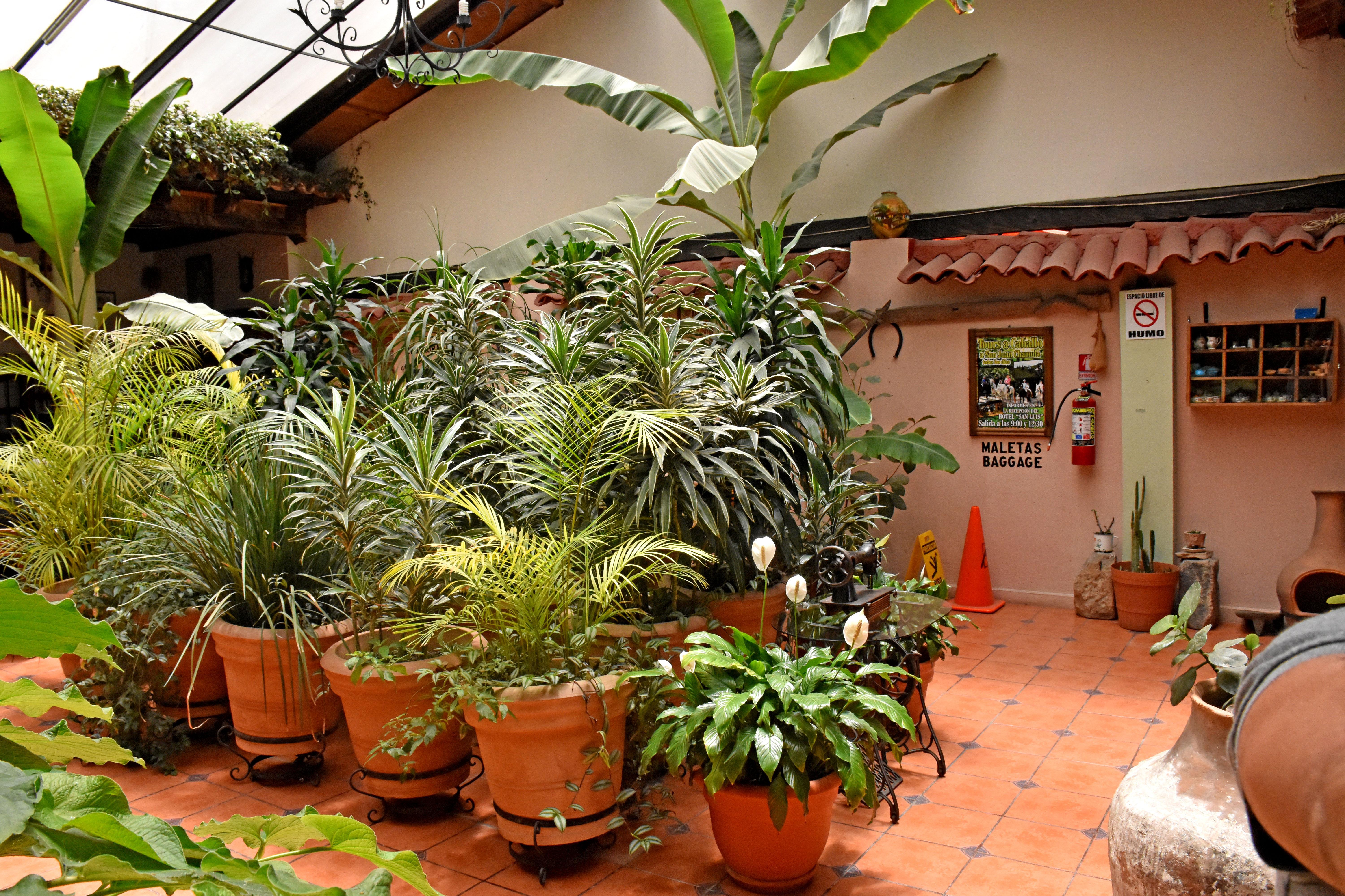 Hotel San Luis San Cristóbal de Las Casas エクステリア 写真
